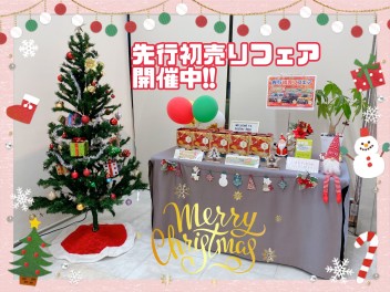 クリスマスツリー飾ってます☆彡